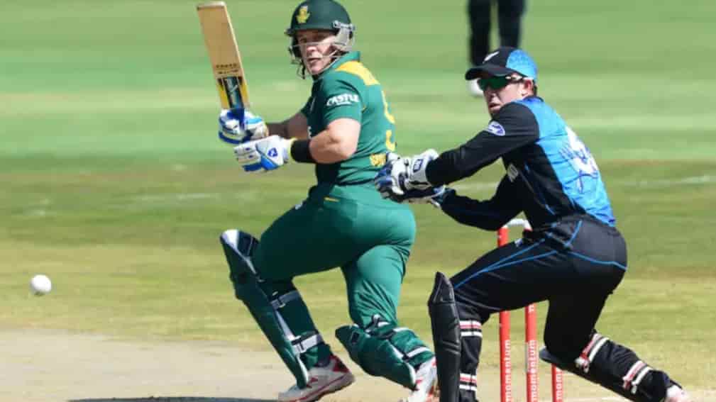 Cape Cobras and Dolphins